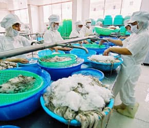 Ngành thủy, hải sản thiếu nguyên liệu chế biến