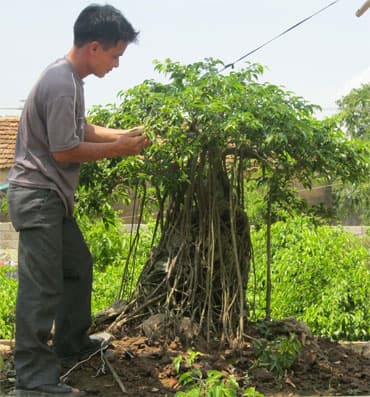 “Tỷ phú” 8X
