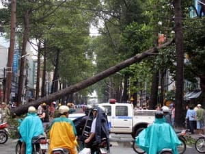 Mưa lớn kèm theo giông và lốc ở TP Hồ Chí Minh