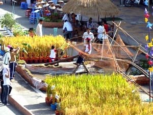 Giới thiệu Festival lúa gạo lần thứ II– Sóc Trăng 2011