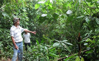 Xung quanh Dự án xây dựng công trình thủy điện Đồng Nai 6 và Đồng Nai 6A (bài 2)