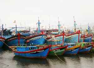 Kêu gọi 130 tàu, thuyền về nơi tránh, trú bão an toàn