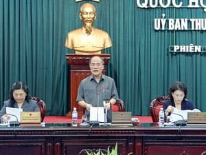 Cân nhắc nhiều nội dung trong quản lý giá