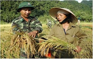 Kỹ sư của đồng bào Rục