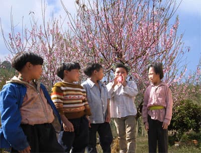 Xuân về trên đỉnh The La Cồ