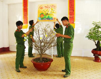 Vui vui Tết lính