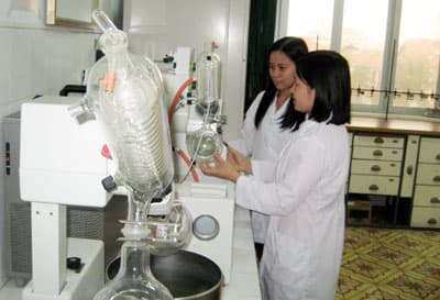 Ngày thường ở Chi nhánh phía Nam