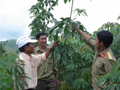 Làng Rắc đổi thay