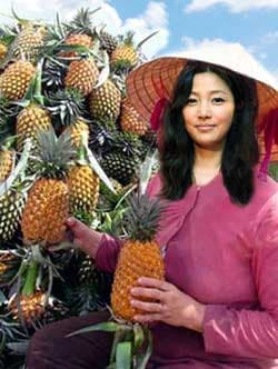 Ngọt, ngon quả dứa Tân Phước