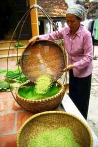 Sắc cốm Thanh Hương