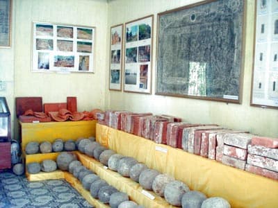 Nở rộ những phát hiện mới