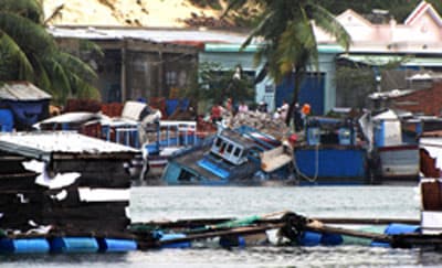 Tan hoang xóm đảo Khải Lương