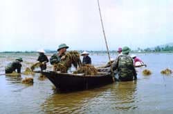 Sát cánh giúp dân trong hoạn nạn