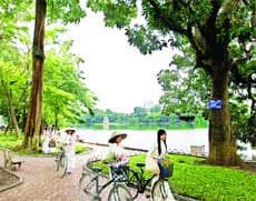 Những vòng quay…
