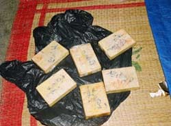 Nhức nhối góc rừng Tây Bắc (phần tiếp theo)
