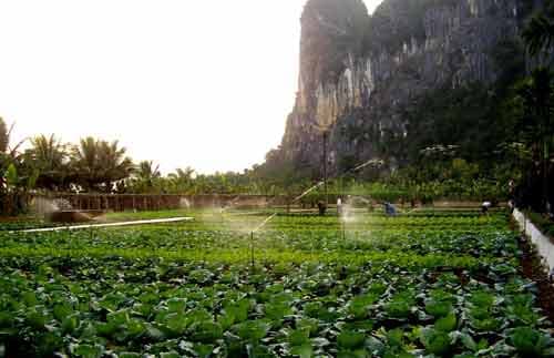 Doanh trại xanh, nếp sống đẹp
