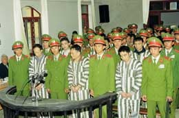 Nhức nhối góc rừng Tây Bắc (Tiếp theo và hết)