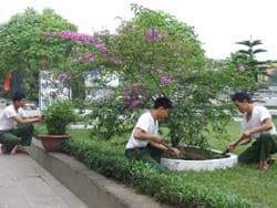 Sĩ quan trẻ mong được “an cư”
