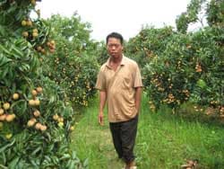 Đăng ký thông tin hoa quả xuất khẩu