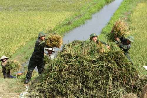 Hướng mạnh vào xóa đói, giảm nghèo