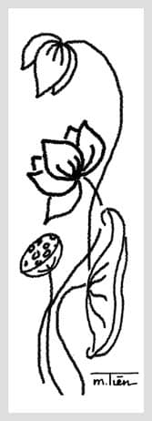 Sen