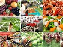 Phát động cuộc thi báo chí về vệ sinh, an toàn thực phẩm