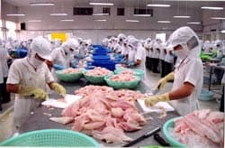 7 lĩnh vực được hưởng kinh phí khuyến công