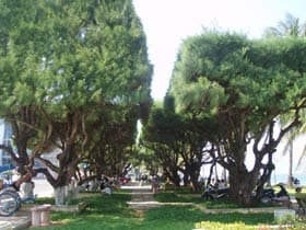 Tường thành phi lao giữa lòng phố biển
