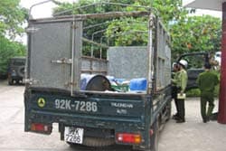 Hà Tĩnh: Lâm tặc khống chế lực lượng kiểm lâm