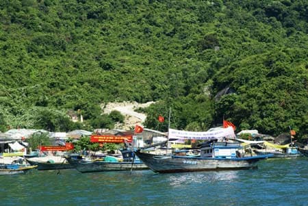 Cù Lao Chàm - Khu dự trữ sinh quyển thế giới