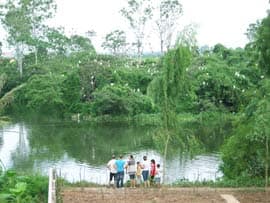 Chi Lăng Nam, đất lành cò đậu