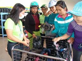 Khai trương khu thương mại phi thuế quan Tịnh Biên