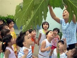 Không được dạy học sinh mầm non chương trình lớp 1