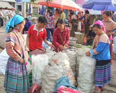Buổi sớm trên miền  “cao nguyên trắng”