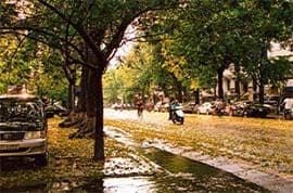 Nhớ...