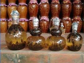 Ninh Thuận: 22 người cùng bị ngộ độc rượu phải cấp cứu