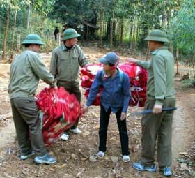 Quyết liệt, nhưng hiệu quả chưa cao