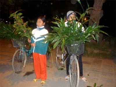 Những người đón giao thừa trên đường phố