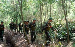 Cảnh giác và sẵn sàng