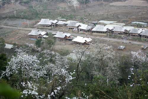Truyền thuyết hoa Ban