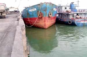 Khởi công cầu cảng cá sông Trà Bồng