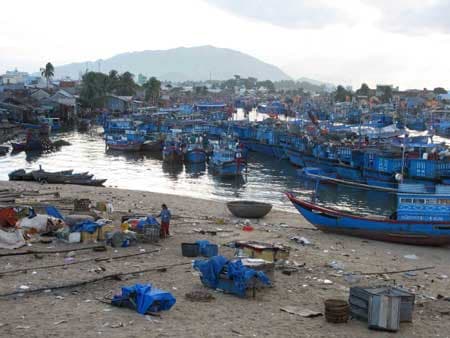 Hiểm họa sạt lở và ô nhiễm