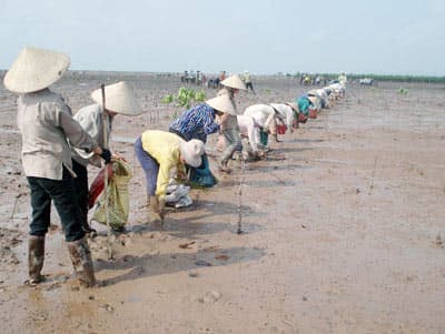 Cụ thể hóa đánh giá ảnh hưởng của xâm nhập mặn, hạn hán ở ĐBSCL