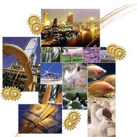 Thủ tướng phân công 5 Bộ trưởng trả lời chất vấn của UBTVQH