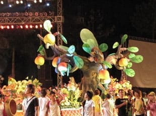 Khẳng định thương hiệu điều Việt Nam