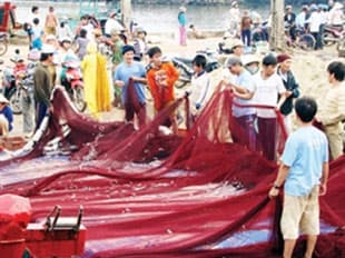 Kỷ niệm 35 năm Ngày giải phóng huyện đảo Lý Sơn (Quảng Ngãi)