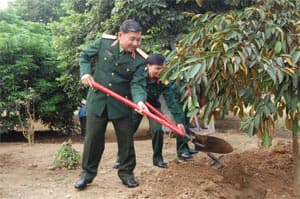 Ra quân trồng gần 1.000 cây xanh
