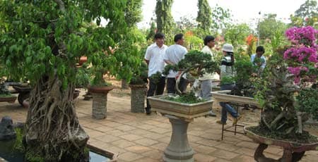 Triển lãm sinh vật cảnh “Hương sắc mùa xuân”