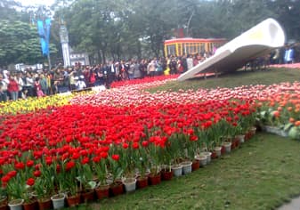 Đẹp đến phút chót