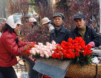 Nhộn nhịp chợ hoa xuân